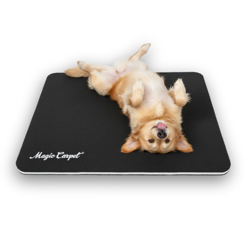 Happy dog relaxing on Magic Carpet™ absorbent kennel liner – comfortable, reusable, eco-friendly pet pad