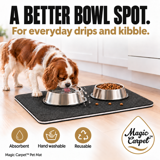 Magic Carpet Pet infographic showing a dog drinking with natural airborne bowl splashes above an absorbent rectangular mat.